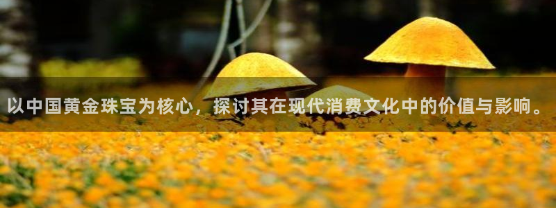 中国新航娱乐官网入口:以中国黄金珠宝为核心,探讨其在现代消费