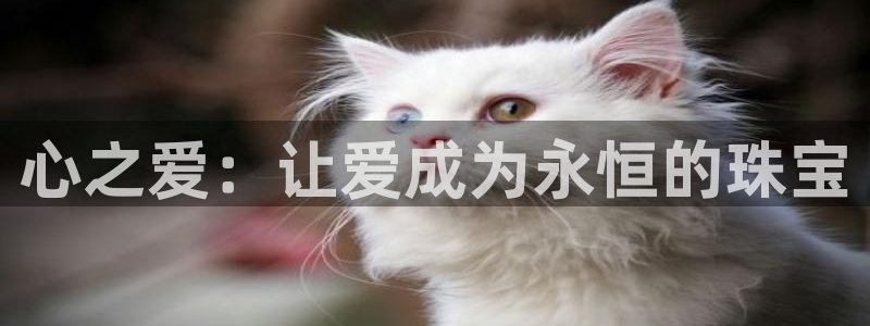 新航娱乐公司问题分析:心之爱:让爱成为永恒的珠宝